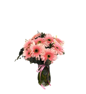 VAZODA GERBERA